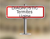 Diagnostic Termite AC Environnement  à Ugine